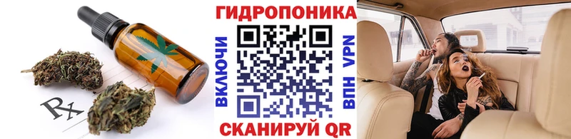 Canna-Cookies марихуана  Змеиногорск 