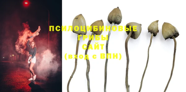 дмт Абдулино