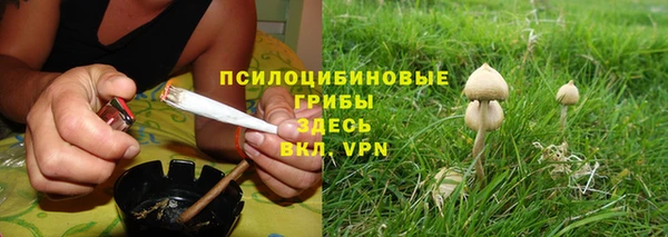 дмт Абдулино